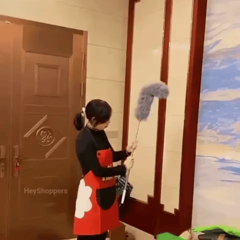 Extendable Cleaning Duster