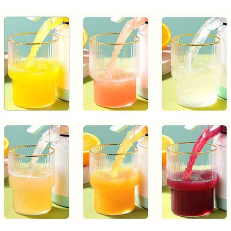 Mini Citrus Fruit Juicer - Assorted - Single Piece